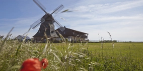 Windmühle in Mecklenburg-Vorpommern nahe Ostsee