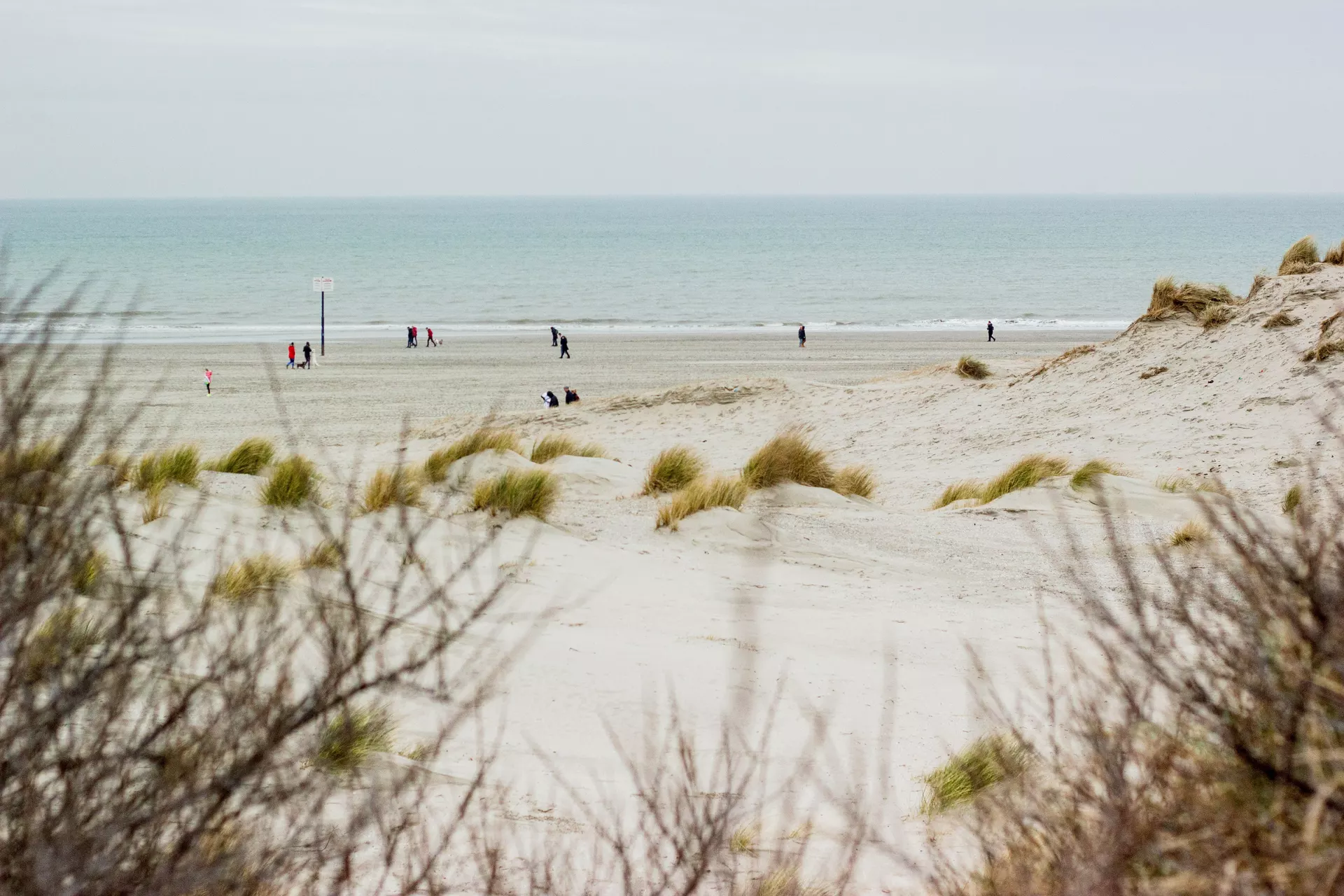 Reisende am Nordsee-Inselstrand mit Dünen