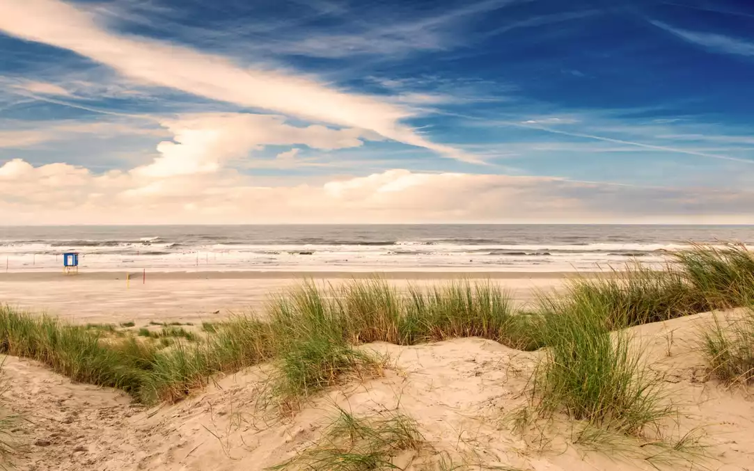 Weiße Dünen vor weitem Strand an der Nordsee