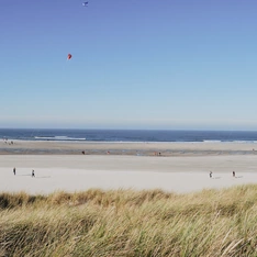 Grüne Dünen vor weitem Nordseestrand