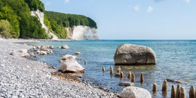 Großer Feldstein in der Ostsee vor den Kreideklippen auf Rügen