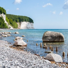 Großer Feldstein in der Ostsee vor den Kreideklippen auf Rügen