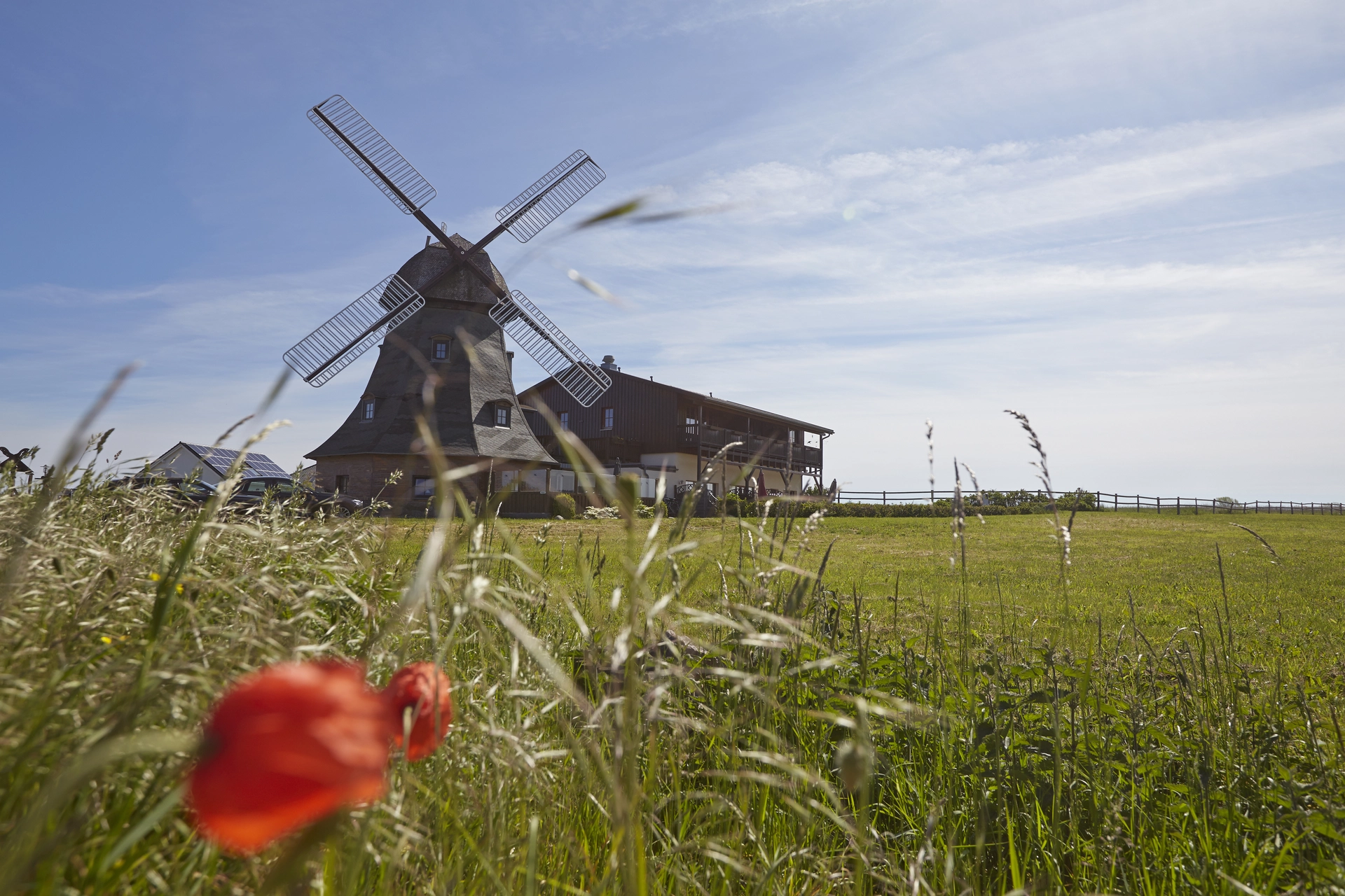 Windmühle in Mecklenburg-Vorpommern nahe Ostsee